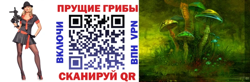 как найти наркотики Лаишево Псилоцибиновые грибы ЛСД
